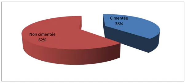 Figure 8 : Répartition en fonction du matériel utilisé 52% 28% 20%  DLG DLD  DLG/DLD Cimentée  38% Non cimentée 62% 
