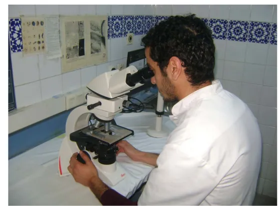 Figure 3 : Microscope optique multi tête pour étude des paramètres du spermogramme  Tableau I : Normes de l’OMS 2010 adoptées au laboratoire [4] 