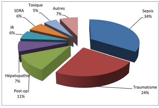 Figure 10 : causes des thrombopénies 