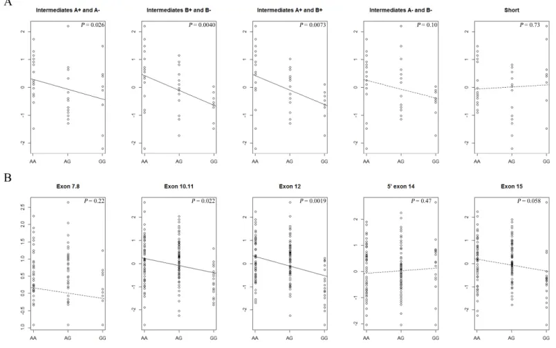 Figure 12 :  Associations  between  genotypes  at  rs9349379  and  PHACTR1  expression  levels  in  human  coronary  arteries