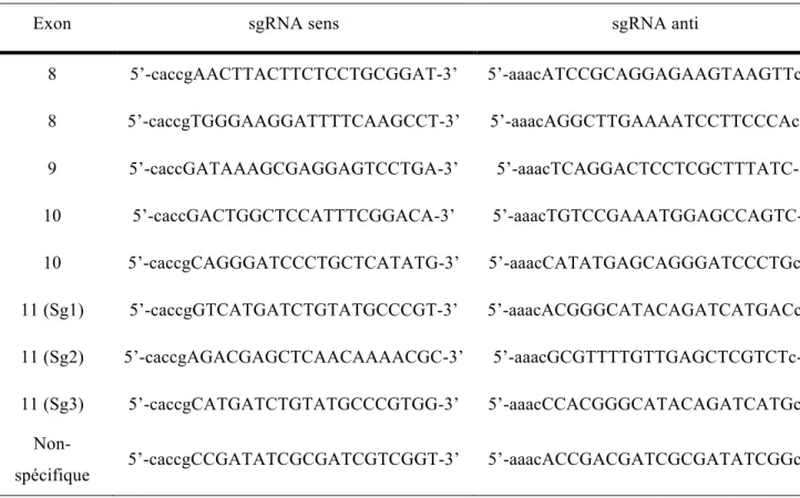 Tableau 7 :     Séquences des sgRNA utilisés pour l’édition de génome par le système CRISPR-Cas9 