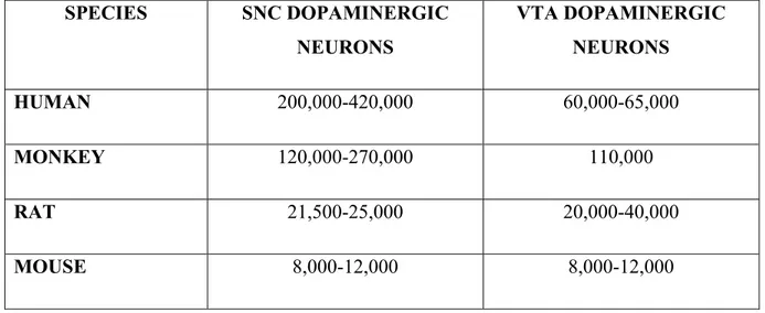 Table 1: Number of SNC and VTA DA Neurons in Humans, Monkeys, Rats and Mice  SPECIES  SNC DOPAMINERGIC  NEURONS  VTA DOPAMINERGIC NEURONS  HUMAN  200,000-420,000  60,000-65,000  MONKEY  120,000-270,000  110,000  RAT  21,500-25,000  20,000-40,000  MOUSE  8,000-12,000  8,000-12,000 