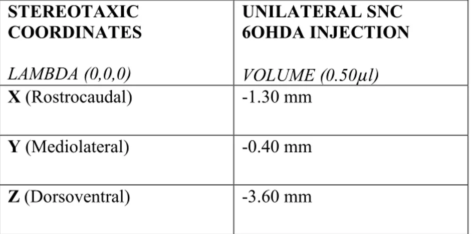 Table 2: Stereotaxic Coordinates of Unilateral 6-OHDA SNC Injection  STEREOTAXIC  COORDINATES  LAMBDA (0,0,0)  UNILATERAL SNC  6OHDA INJECTION  VOLUME (0.50 µ l)  X (Rostrocaudal)   -1.30 mm  Y (Mediolateral)  -0.40 mm  Z (Dorsoventral)  -3.60 mm  INK INJECTIONS 
