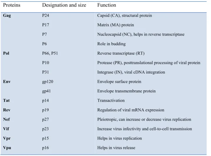 Table 2-I. HIV-1 proteins and their functions (Rambaut, Posada et al. 2004). 