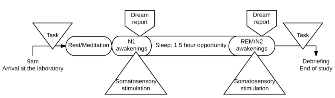 Figure 1.  Study protocol. Upon arrival, participants completed a procedural learning task (Wii Fit, Bubble  Balance game); then the control group rested for 30 minutes while meditation group meditated