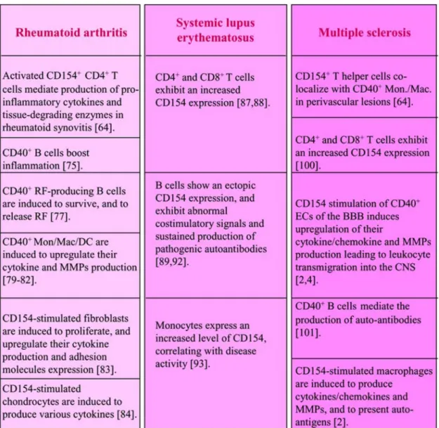 Tableau 1 :  L’implication de CD40/CD154 dans les maladies auto-immunes.  Ce  tableau résume le rôle de cette interaction dans l’AR (Rheumatoid arthritis), le SLE (Systemic  lupus erythematosus) et la SP (Multiple sclerosis) (G.S.Hassan et al, 2009) [29]