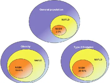 Figure  2.2:  The  average  prevalence  of  NAFLD  and  NASH  in  general  and  high-risk  groups