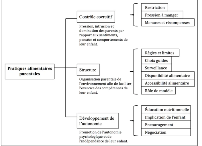 Figure 4 |  Carte conceptuelle des pratiques alimentaires parentales                (adaptation et traduction libre de Vaughn et al, 2016) (28) 