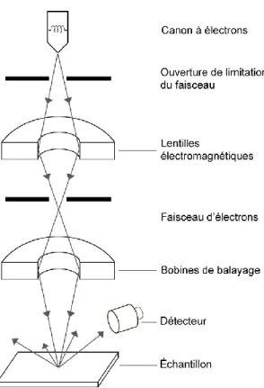 Figure 2.  Schéma du microscope électronique à balayage. 