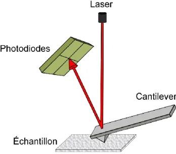 Figure 3. Schéma du microscope à force atomique. 