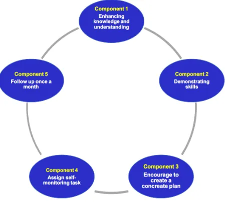 Figure 2: Components of Safeguard Your Smile intervention 