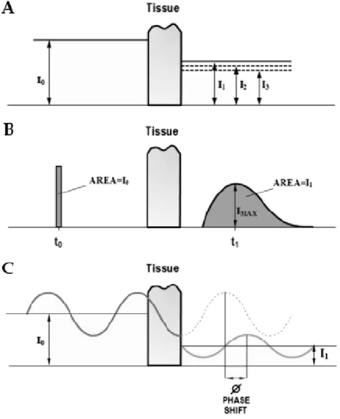 figure  3  présente  le  type  de  signal  émis  et  détecté  par  la  NIRS  en  intensité  continue  (CW- (CW-NIRS), la NIRS résolue dans le temps (TD-NIRS) et la NIRS résolue en fréquence (FD-NIRS)  [16]