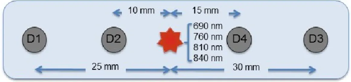 Figure 4: Schematic representation of the TD-NIRS probe. A fiber coupler light guide was centered and light was  emitted  at  690,  760,  810  and  840  nm