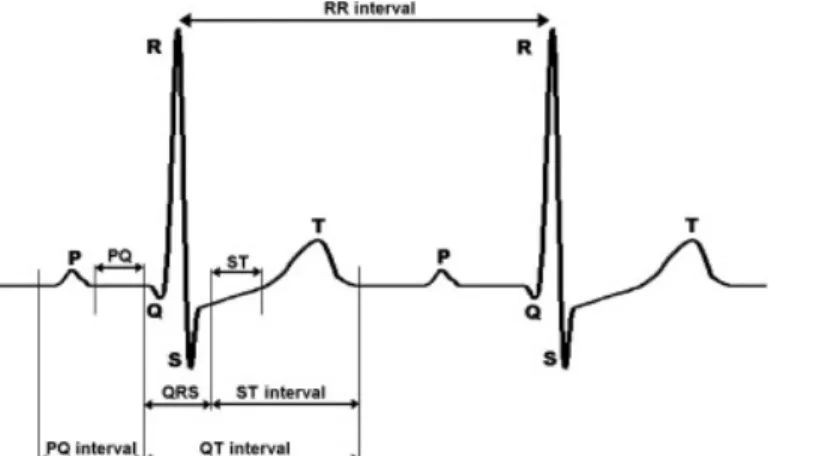 Figure 3. Représentation d’un ECG normal. Tiré de Bugdol &amp; Mitas, 2014. Composé d’une  onde P, du complexe QRS et d’une onde T