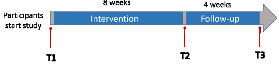 Figure 1. Research plan and the measurement time points. 