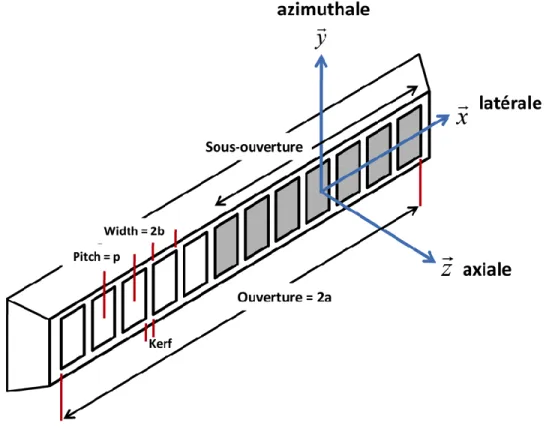 Figure 2-6 – Géométrie d’une sonde échographique linéaire conventionnelle.  2.2.3.5  Réponse impulsionnelle en imagerie ultrasonore focalisée 