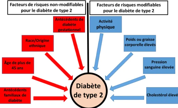 Figure 3. Facteurs de risques pour le diabète de type 2.  