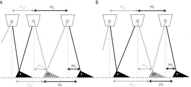 Figure 4.4. Représentation schématique des déterminants de l’asymétrie de la longueur de pas  (LP) durant un pas parétique (P) et un pas non parétique (NP)