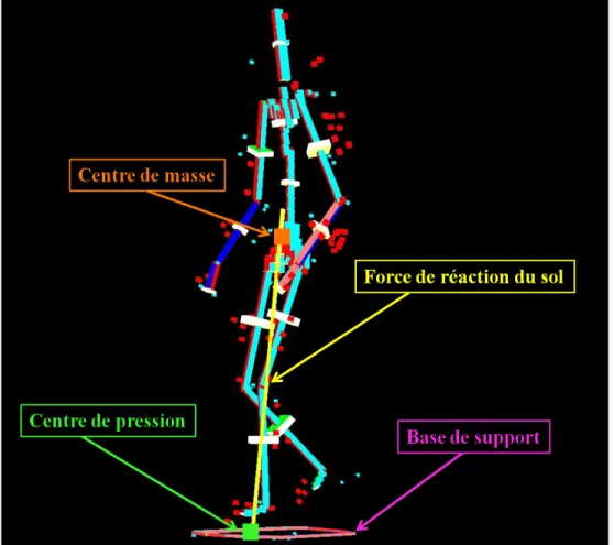 Figure 4.6.  Représentation  du  modèle  biomécanique  3D  utilisé  pour  l’analyse  des  données,  incluant les paramètres principaux nécessaires au calcul de la difficulté à maintenir l’équilibre