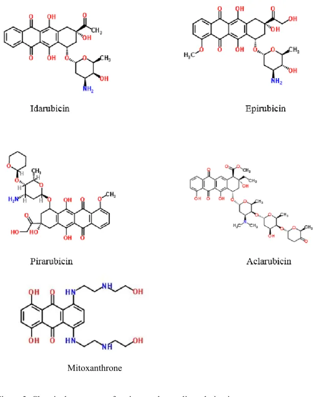 Figure 2. Chemical structures of various anthracyclines derivatives. 