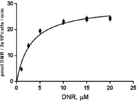 FIGURE  2.    Kinetic  analysis  reveals  a  high  affinity  uptake  for  DNR  into  the  TOV2223G 