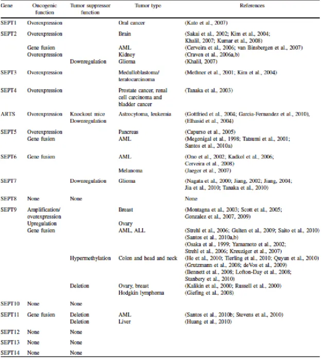 Tableau I. L’expression et l’implication des septines dans le cancer  70