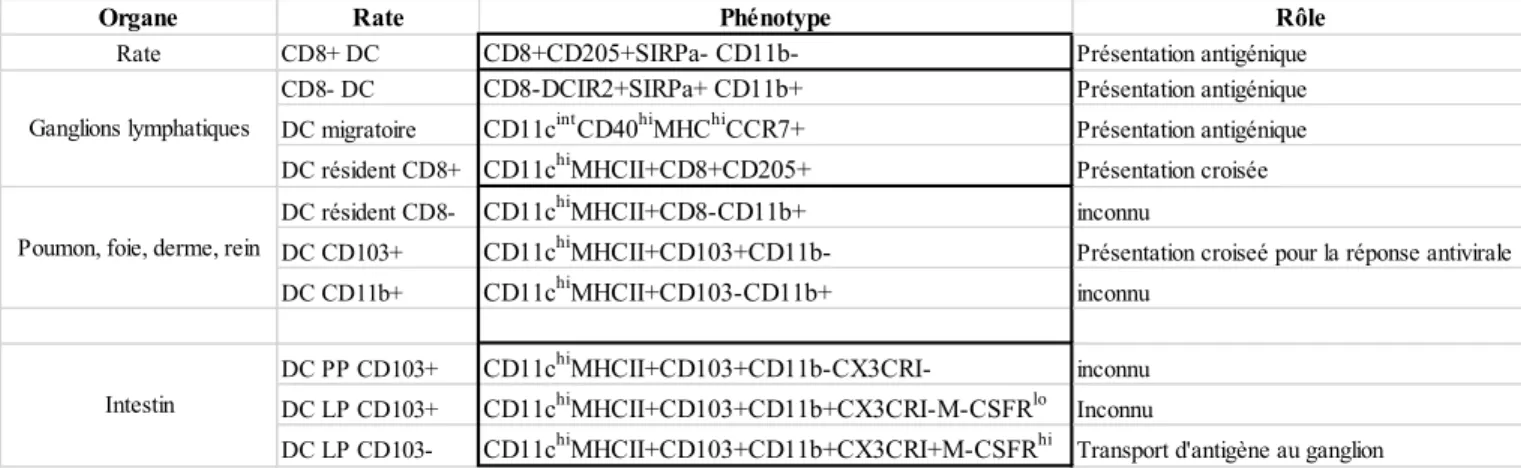 Tableau 3: Différents sous types de cellules dendritiques  