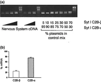 Fig. 3 Chymotrypsin proteolysis 0f the cytoplasmic domain 0f Syt I C2B-e and Syt I C2B-)