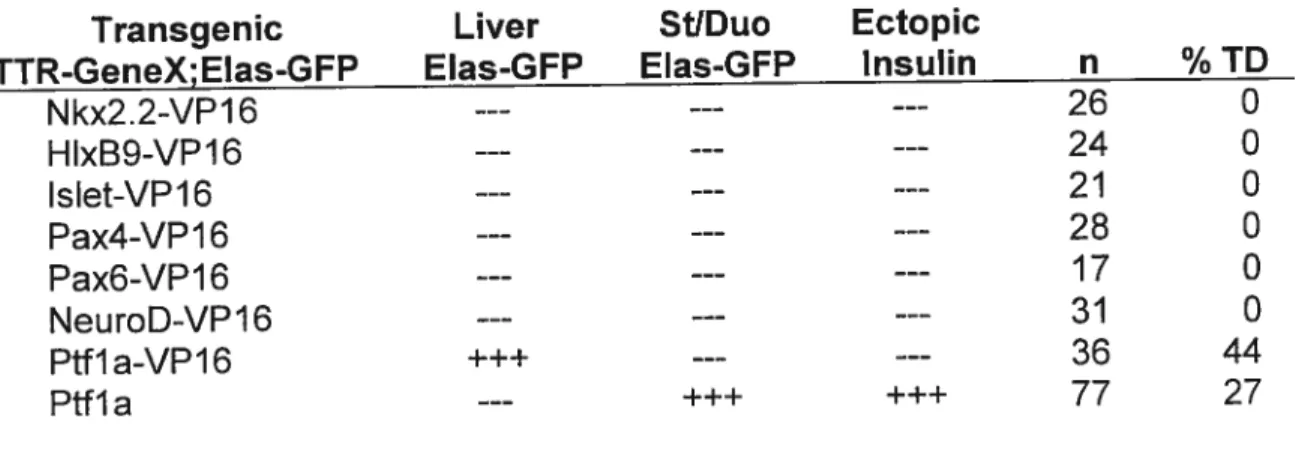 Table 3.1 Transdifferentiation ability of pancreatic transcription factors. Both VP16 and