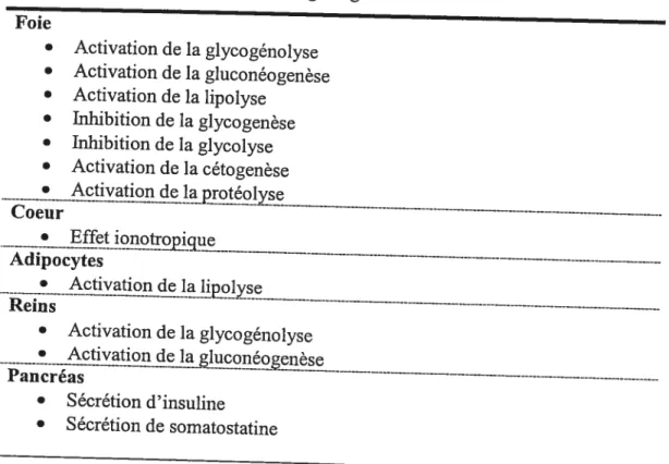 Tableau 1. Fonctions principales du glucagon Foie . Activation de la glycogénolyse . Activation de la gluconéogenèse 