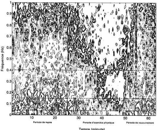 Figure 3.2 Exemple de spectrogramme (fréquences / temps) extrait tracé des intervalles R-R du même