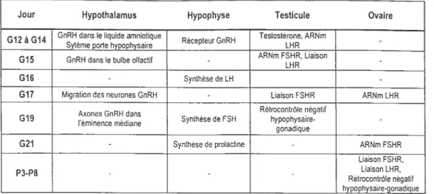 Tableau 1. Maturation développementale dans le temps des fonctions de l’axe hypothalamo