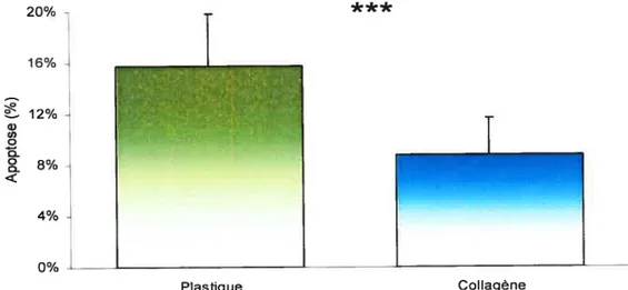 Figure 4: Effet du collagène de type I sur l’apoptose des hépatocytes