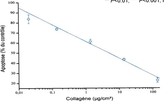 Figure 6 : Effet de la concentration de collagène sur l’apoptose.