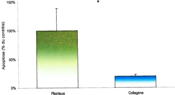 Figure 7 : Effet du collagène sur l’apoptose induite par le TNF-a.