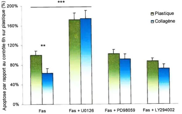 Figure 12: Effet des inhibiteurs d’activation des voies de survie