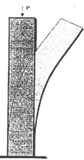 Figure 1-7 Figure illustrant le flambage d’une colonne flexible fixée à la base,