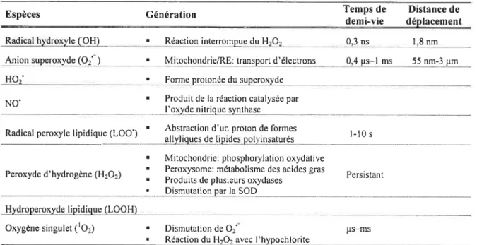 Tableau I: Différentes substances oxygénées hautement réactives, incluant radicaux libres