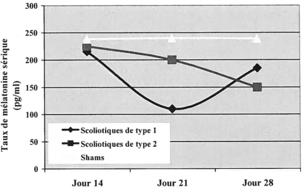 Figure 3.2-Patrons d’expression de la mélatonine chez les poulets pinéalectomisés scoliotiques
