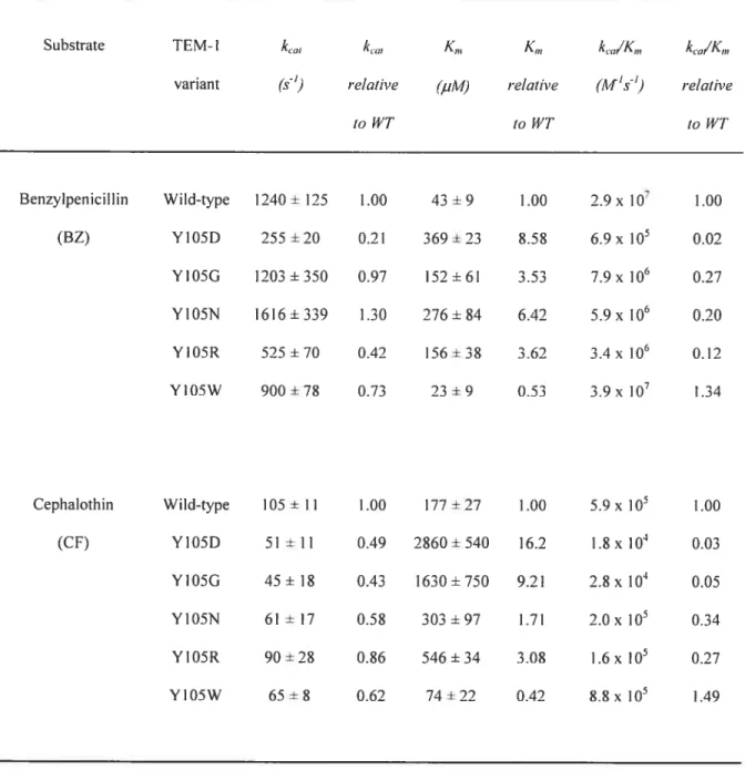 Table 2.3. Kinetic pararneters for wild-type TEM-1 f3-Iactarnase and YYO5X mutant derivatives.