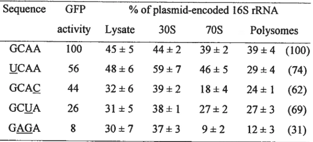 Table 2-3: Distribution of plasmid-encoded 1 6S rRNA in 30S subunits, 70$ nbosomes and polysomes