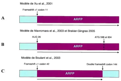 Figure 1.5 : Les trois mécanismes proposés pour la production de l’ARFP.
