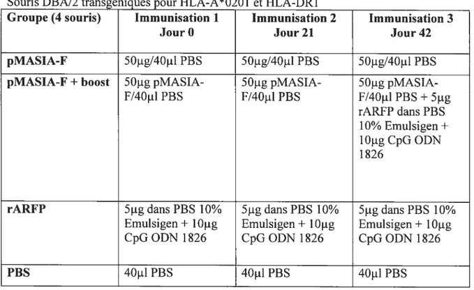 Tableau 2.3 : Protocole d’immunisation 6 — vaccin à ADN