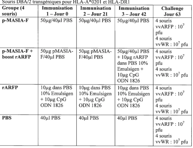 Tableau 2.4 : Protocole d’immunisation 7 — vaccin à ADN