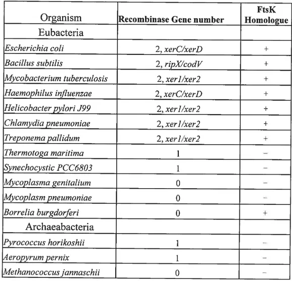 Table 1 The Xer recombinases and ftsK homologues in eubacteria and archaeabacteria.