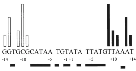 Figure 8. Hierarchy of specfficity determinants in the XerC and XerD binding sites of df Shaded boxes below the sequence denote positions that are palindromic between the XerC and XerD binding sites