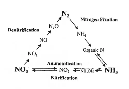 Figure 1. Le cycle de l’azote. (Arp, 2000)