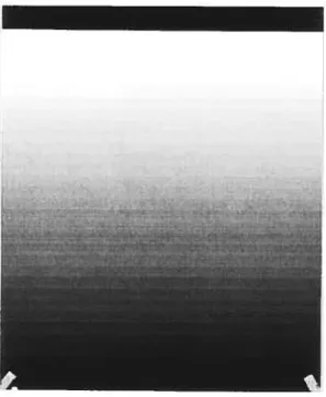 Figure 3 : Film «stepwedge» numérisé.
