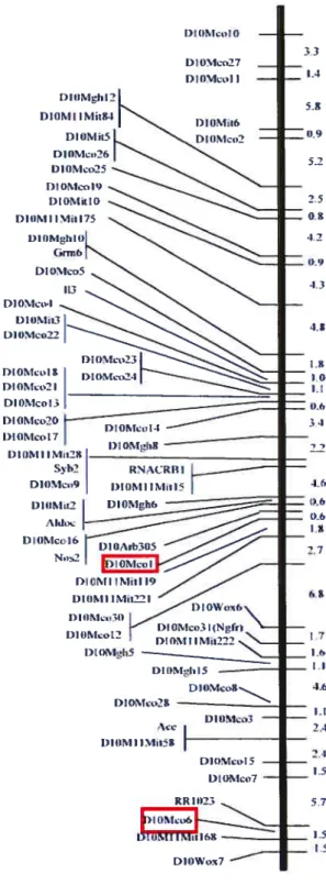 Figure 1.6: Carte intégrée du Chr.lO, dérivée des cartes à la figure 1.5. Adapté de Dukhanina et al., 1997