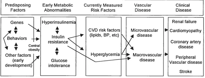 Figure 5. Model of development of diabetîc vascular complications.